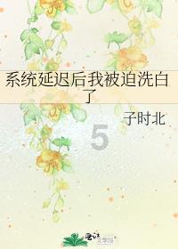 云南镇雄山体滑坡救援工作紧张有序开展